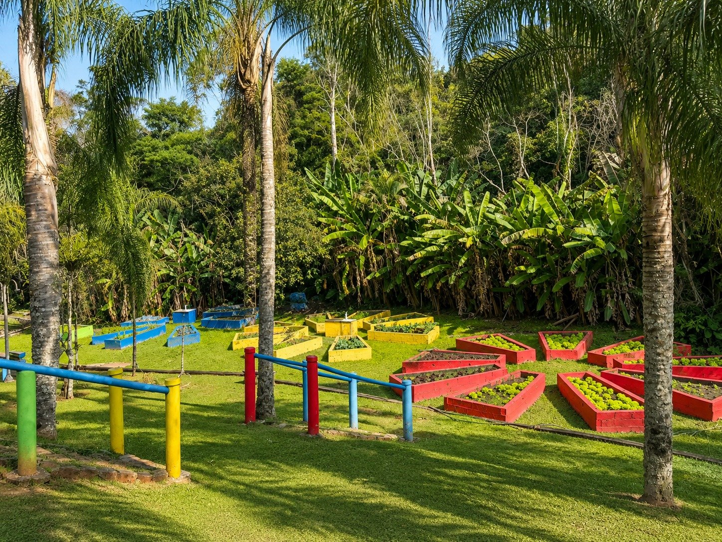 Jardim